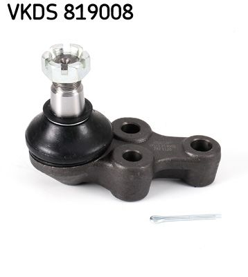 VKDS 819008.JPG