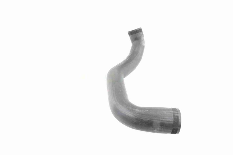 VAICO V30-2450 Charge Air Hose