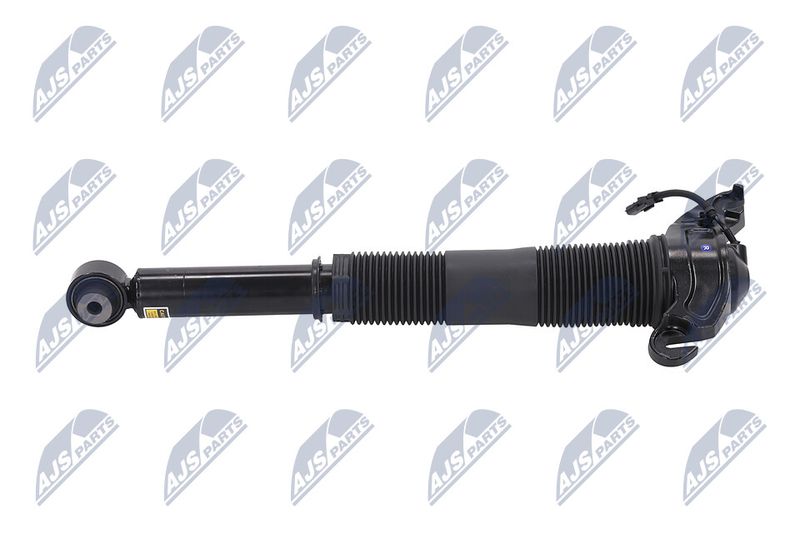 Amort, NTY A-LR-022
