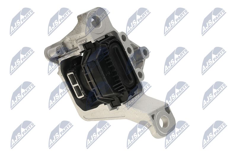 Paigutus, Mootor, NTY ZPS-FR-069