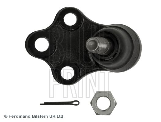 ADN18646_2.JPG