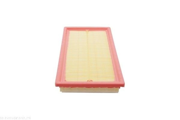 AUTOMEGA 250050810 Air Filter