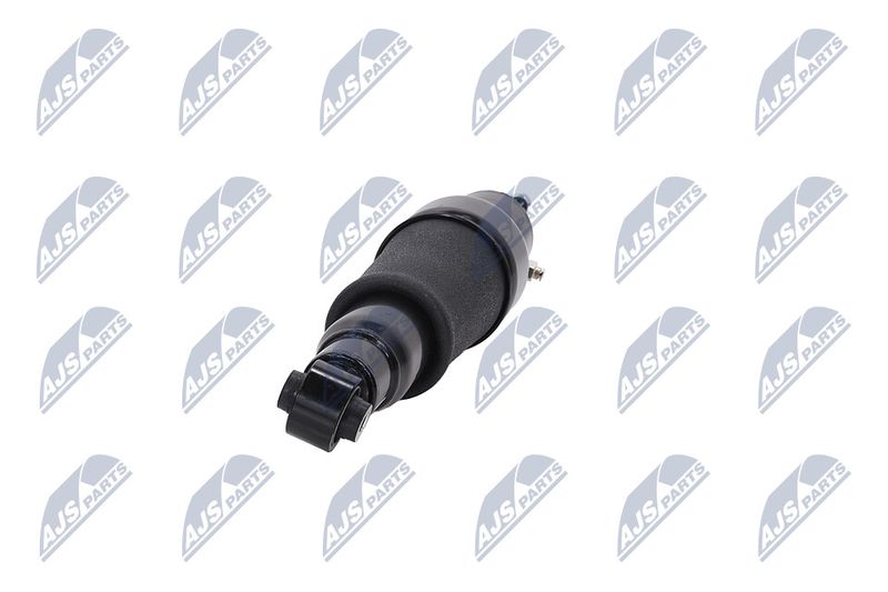 Amort, NTY A-NS-051