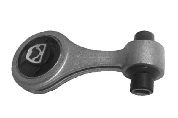 OCAP Variklio montavimas