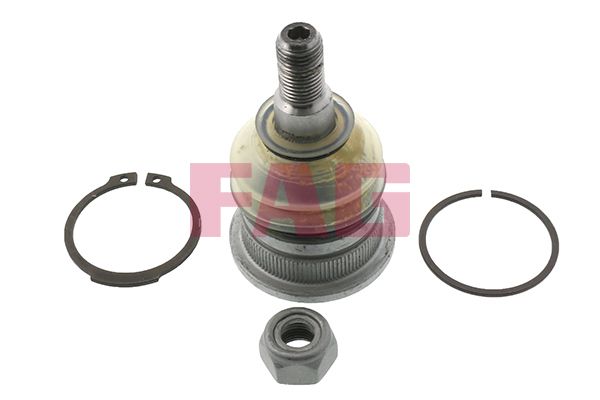 FAG 825 0251 10 Ball Joint