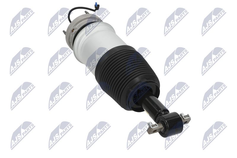 Amort, NTY A-CH-098