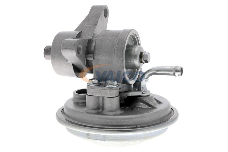 VAICO V25-1908 Mounting, engine