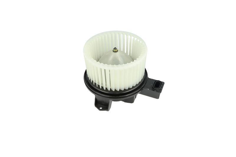 Salongipuhur, NRF 34345