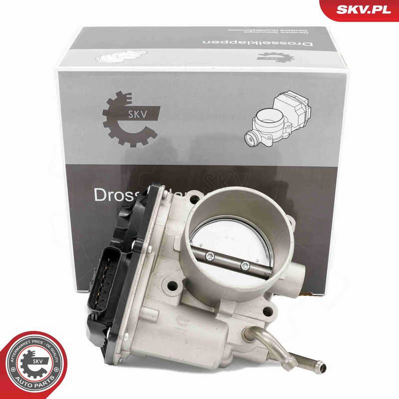 ESEN SKV 12SKV138 Throttle Body