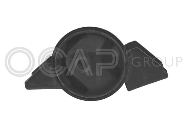 OCAP Variklio montavimas