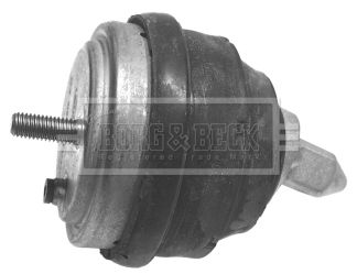 BEM3469_210325.JPG