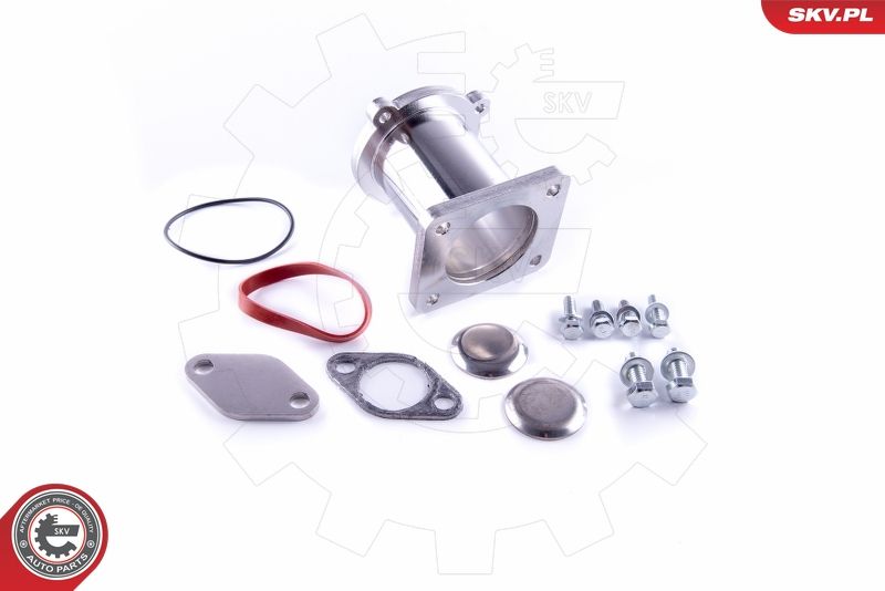 ESEN SKV 14SKV513 Repair Kit, intake manifold module