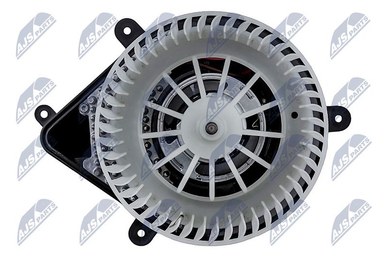 Salongipuhur, NTY EWN-PE-002
