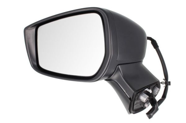 BLIC 5402-16-2001913P Exterior Mirror