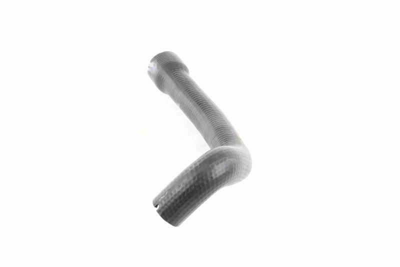 VAICO V24-0719 Charge Air Hose