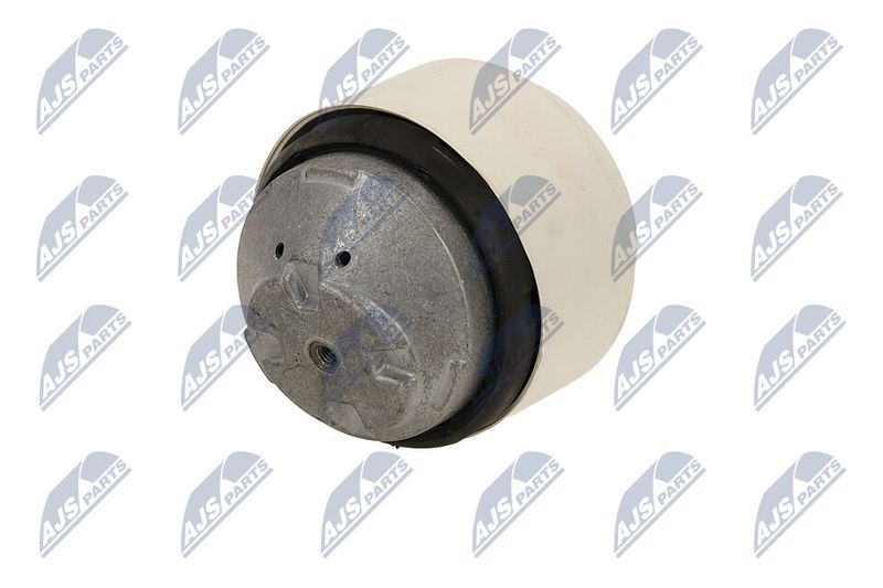 Paigutus, Mootor, NTY ZPS-ME-090