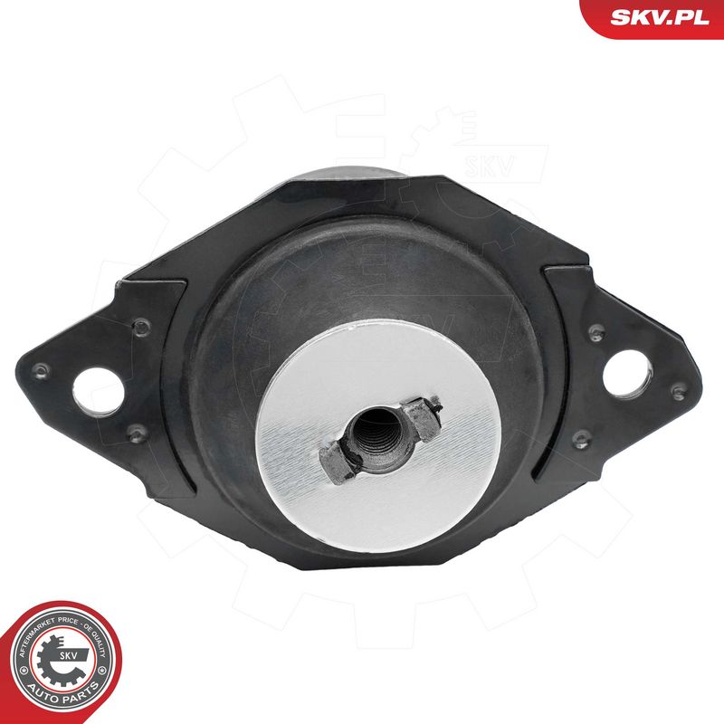 Paigutus, Mootor, ESEN SKV 75SKV325