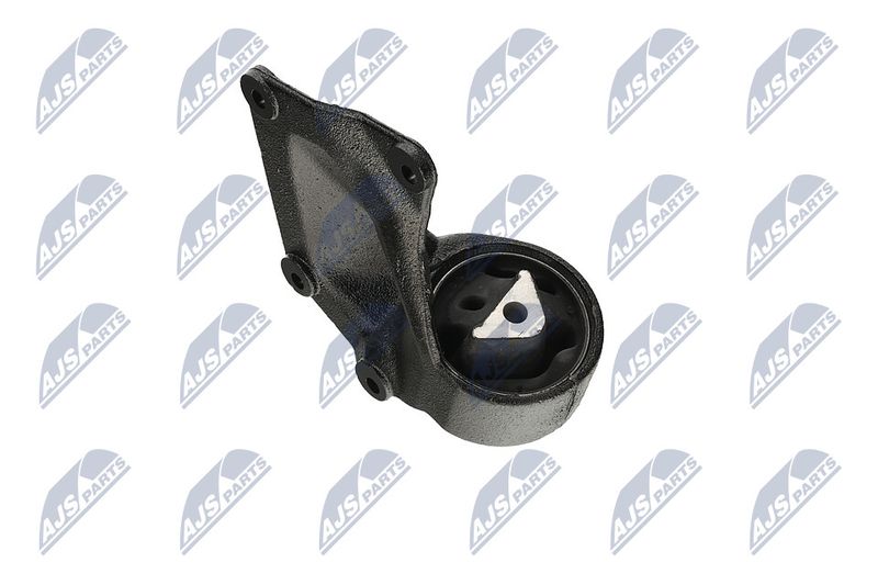 Paigutus, Mootor, NTY ZPS-CH-004