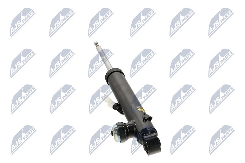 Amort, NTY A-PL-066