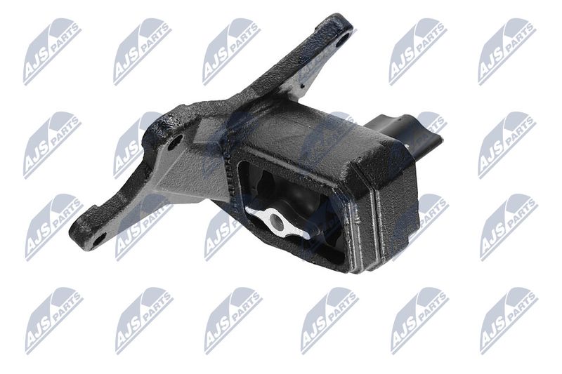 Paigutus, Mootor, NTY ZPS-CH-030