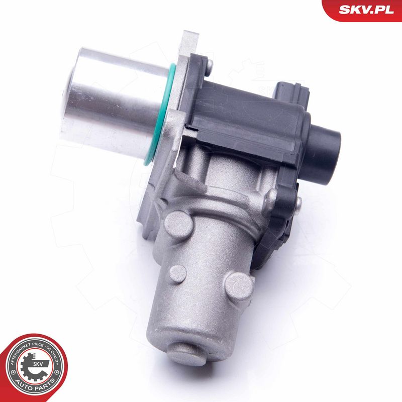 EGR-klapp, ESEN SKV 14SKV163