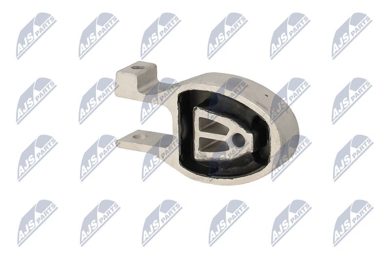 Paigutus, Mootor, NTY ZPS-FR-037