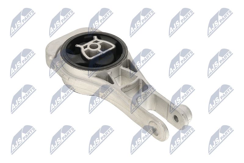 Paigutus, Mootor, NTY ZPS-PL-079