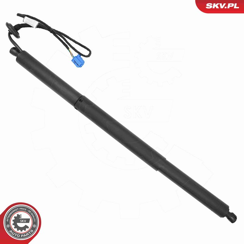ESEN SKV 52SKV271 Electric Motor, tailgate