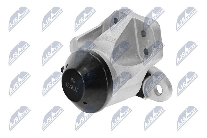 Paigutus, Mootor, NTY ZPS-FR-053