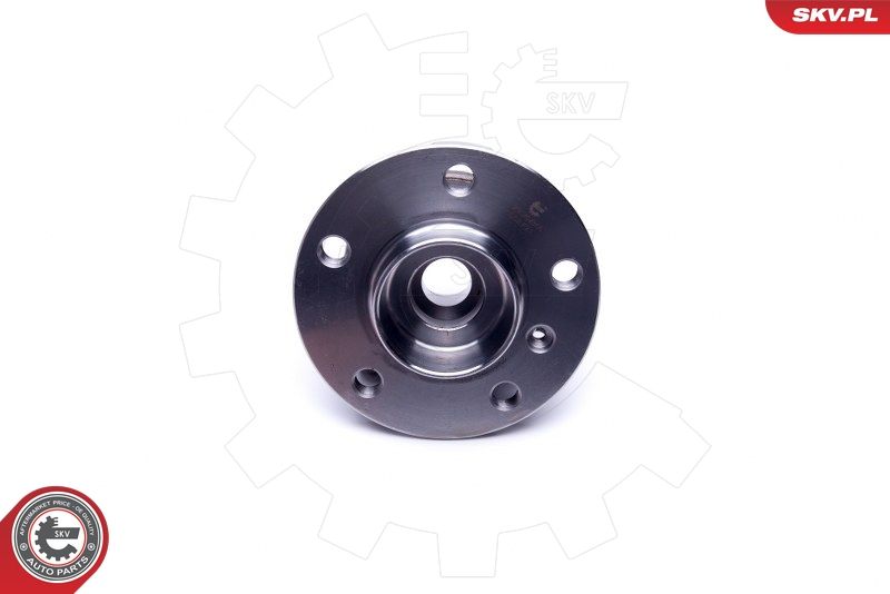 ESEN SKV 29SKV366 Wheel Bearing Kit