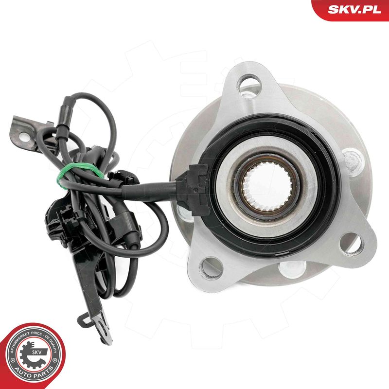 ESEN SKV 29SKV648 Wheel Bearing Kit