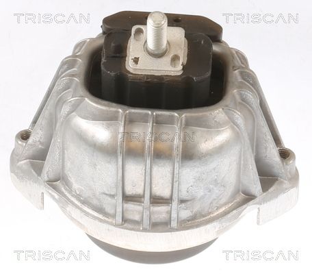 TRISCAN felfüggesztés, motor 8505 11107