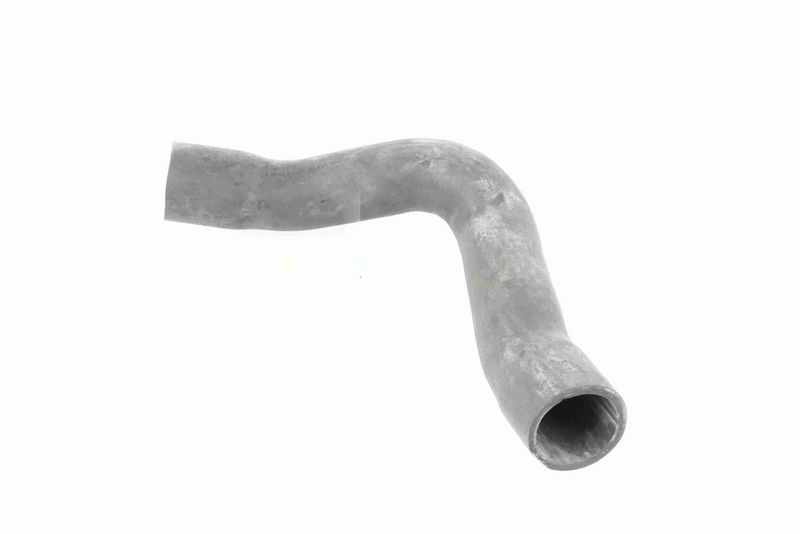 VAICO V10-2909 Charge Air Hose