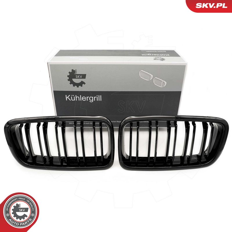 Radiaatorivõre, ESEN SKV 66SKV216