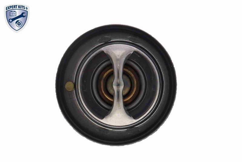 ACKOJA A63-99-0004 Thermostat, coolant