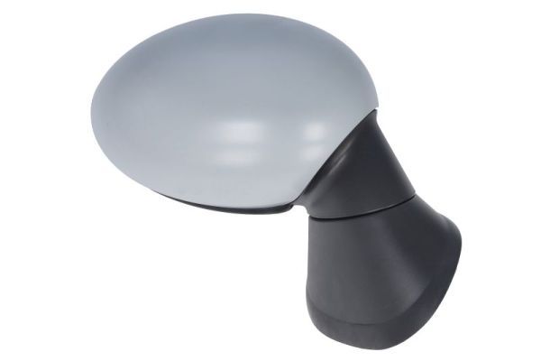 BLIC 5402-05-0884313P Exterior Mirror