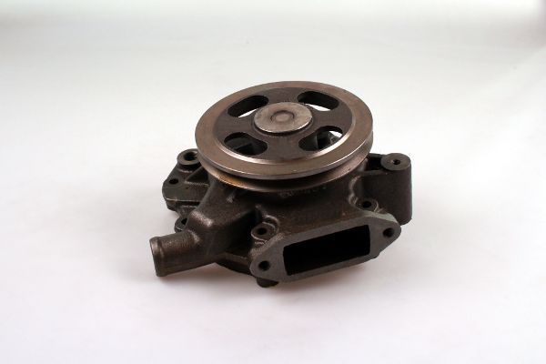 P9955.JPG