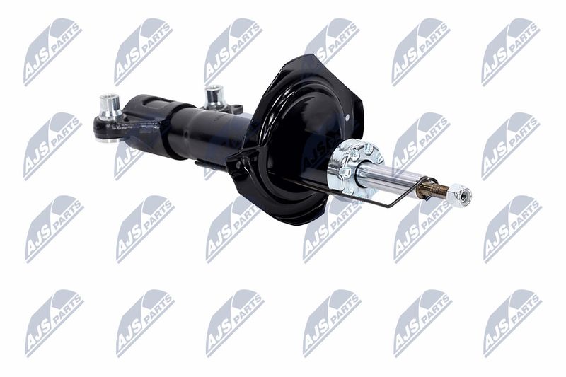 Amort, NTY A-NS-015