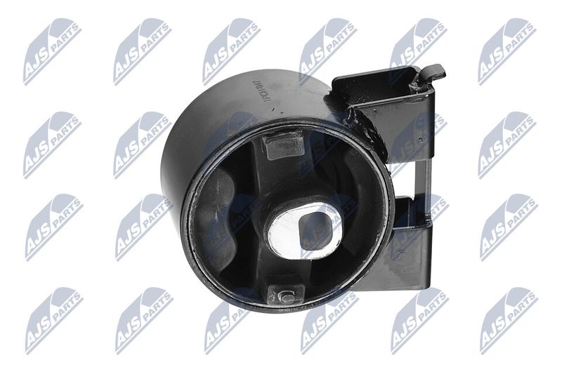 Paigutus, Mootor, NTY ZPS-CH-047