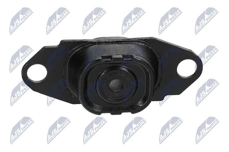 Paigutus, Mootor, NTY ZPS-NS-080