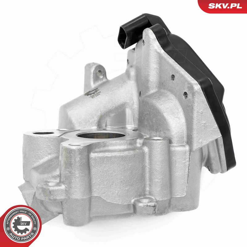 ESEN SKV 14SKV259 EGR Valve