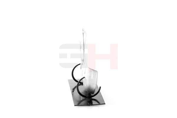 GH GH-489951V Splash Guard, brake disc