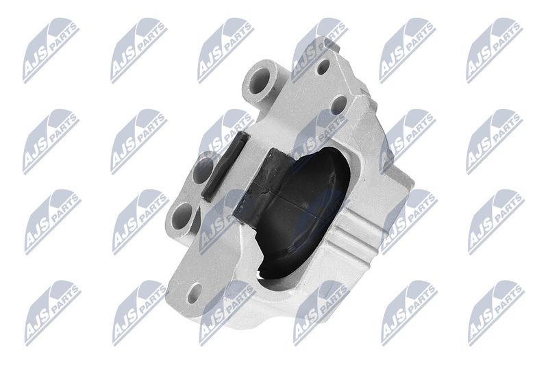 Paigutus, Mootor, NTY ZPS-CH-132