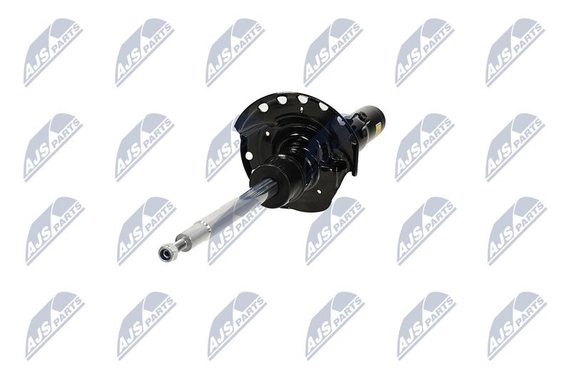 Amort, NTY A-LR-033