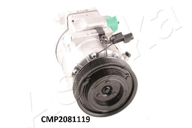 CMP2081119_3.JPG
