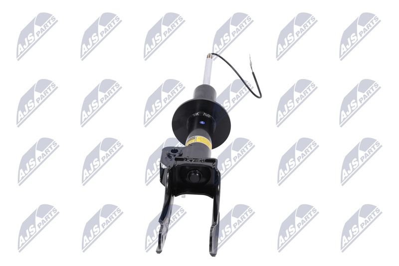 Amort, NTY A-PS-015