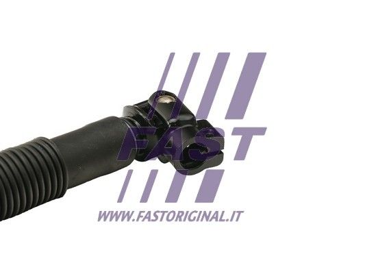 FT20192_3_1.JPG