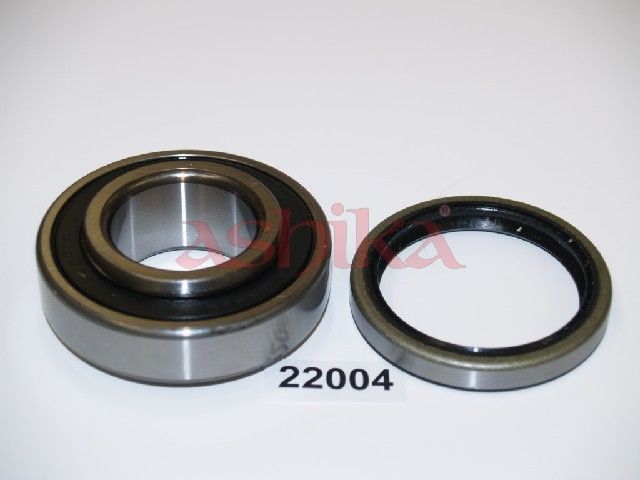 ASHIKA 44-22004 - Wheel Bearing Kit