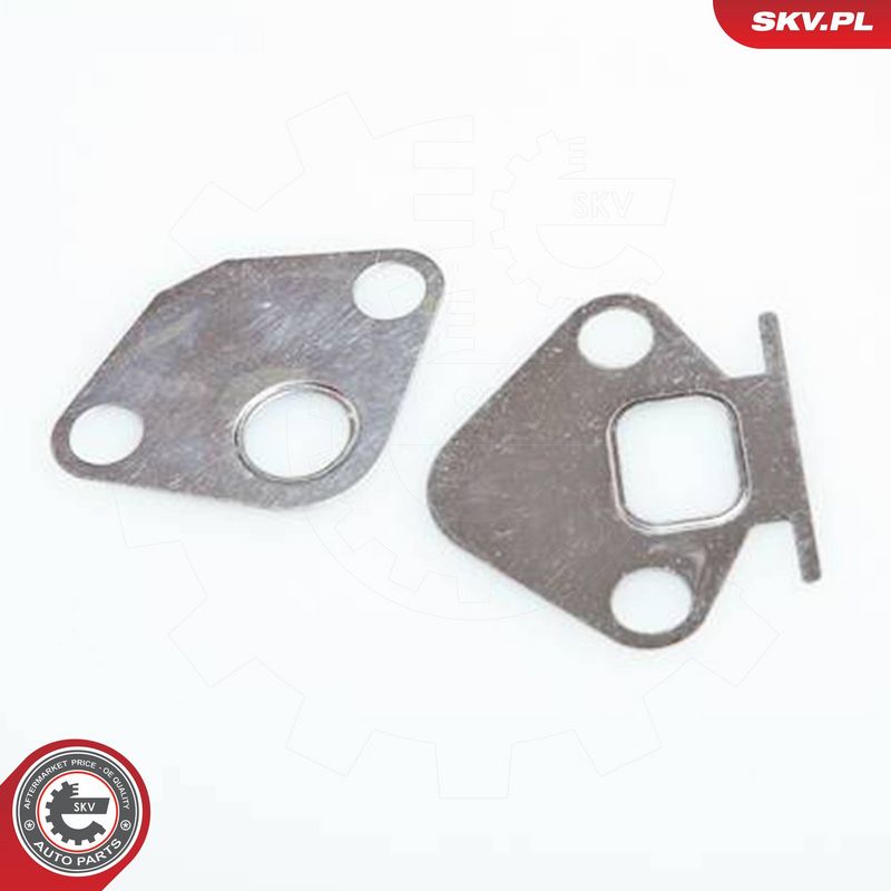 ESEN SKV 14SKV029 EGR Valve