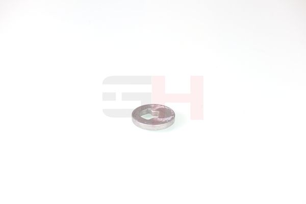caster shim, sillatala, GH GH-391582